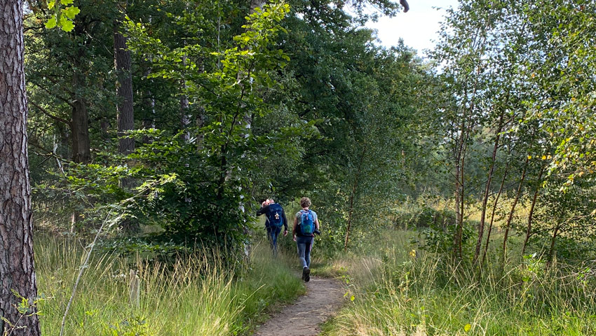 wandelnieuws lochem landgoed velhorst