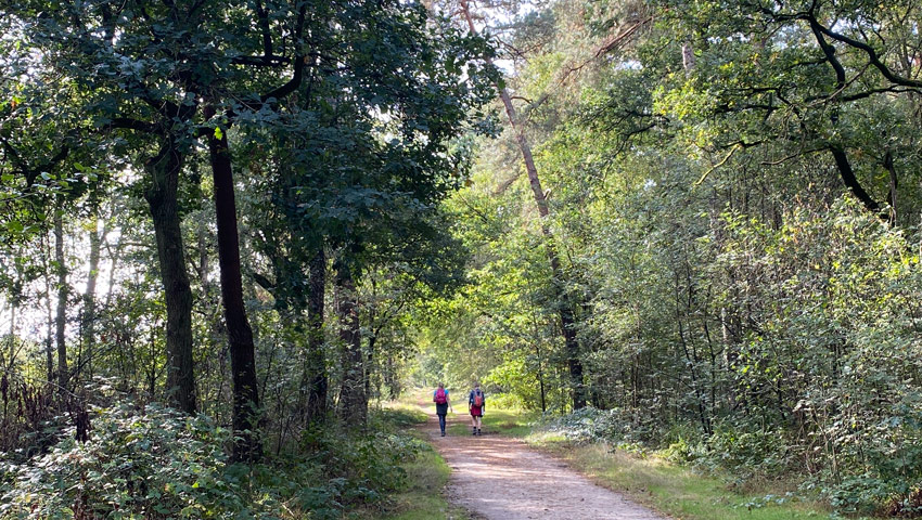 wandelnieuws lochem reserve