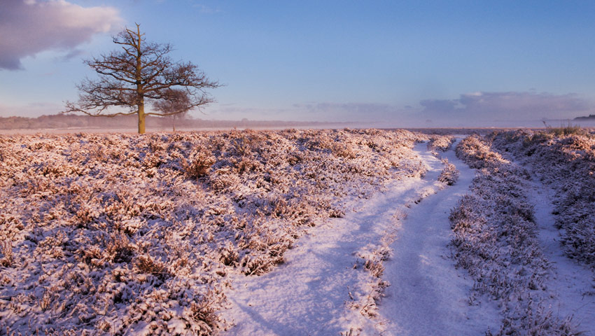 wandelnieuws sneeuw shutterstock