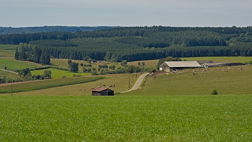 wandelnieuws transardennaise shutterstock