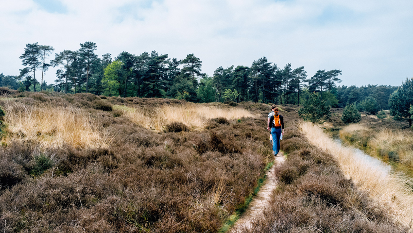 wandelnieuws heuvelrug