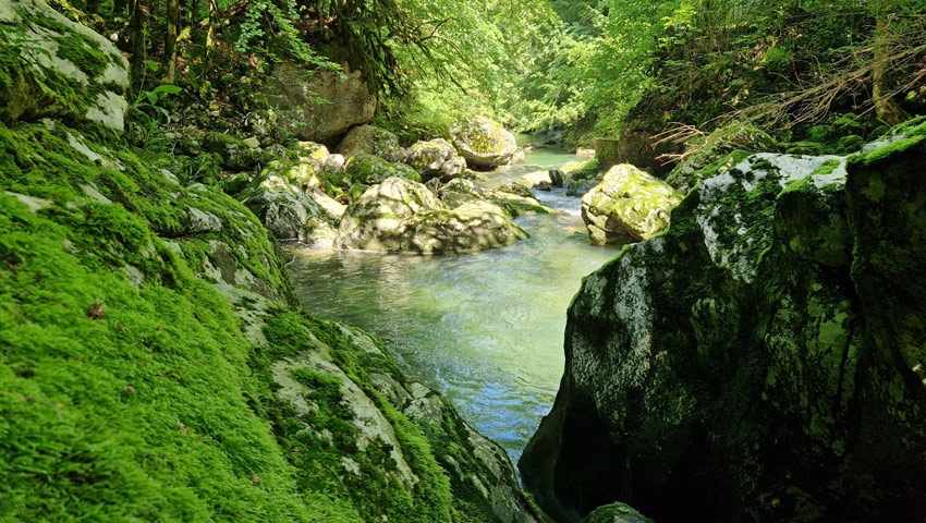 wandelpraat chartreuse 4