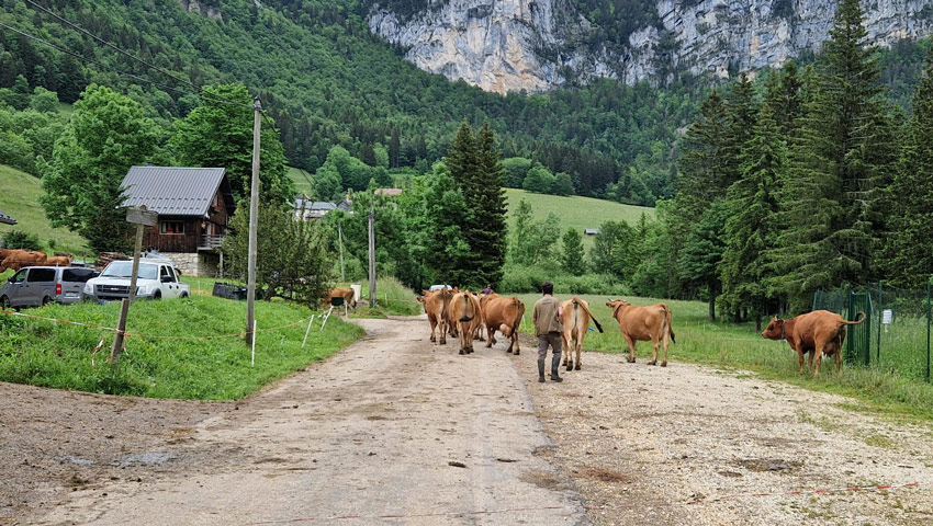 wandelpraat chartreuse 7