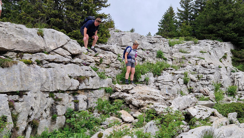 wandelpraat chartreuse 9