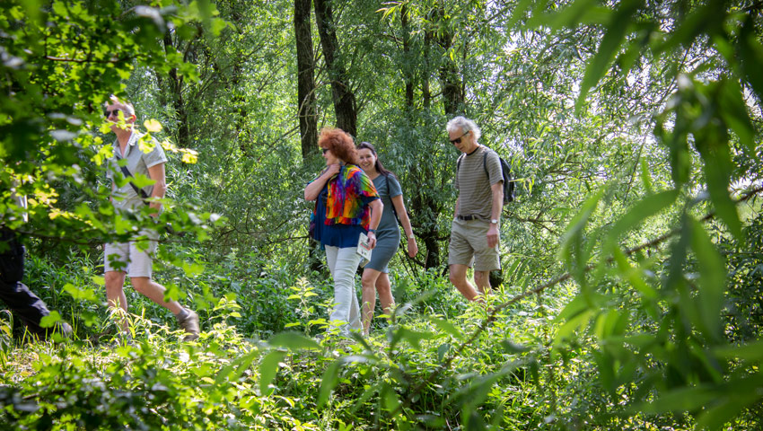 wandelnieuws bergendal bos