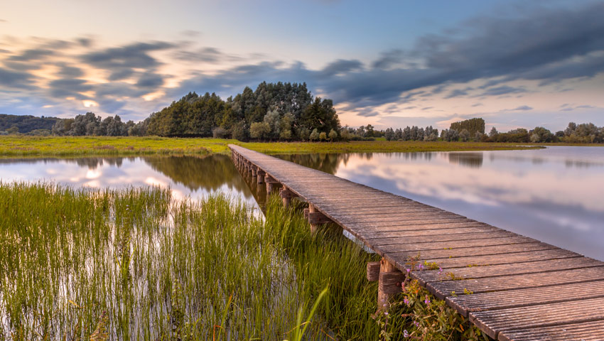 wandelnieuws ns wandeling blauwe kamer shutterstock