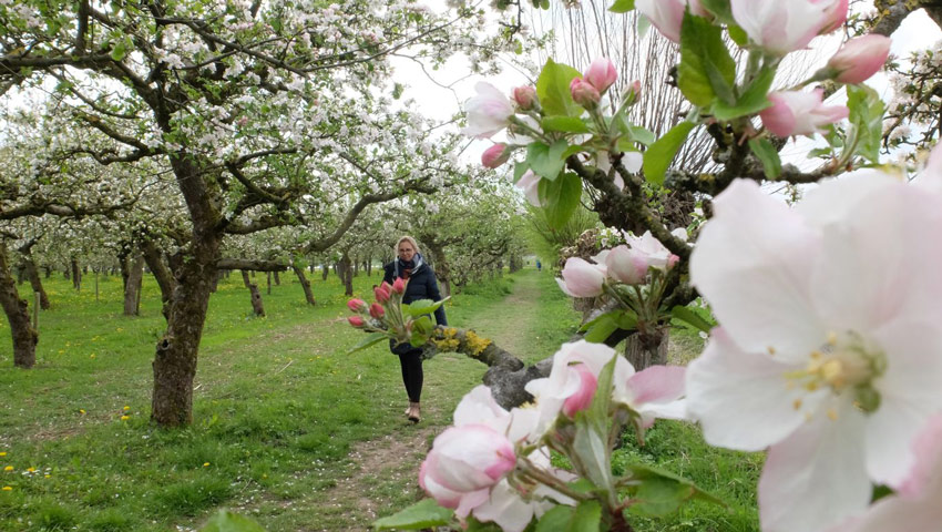 paradijspad ws stichting landschapsbeheer gelderland