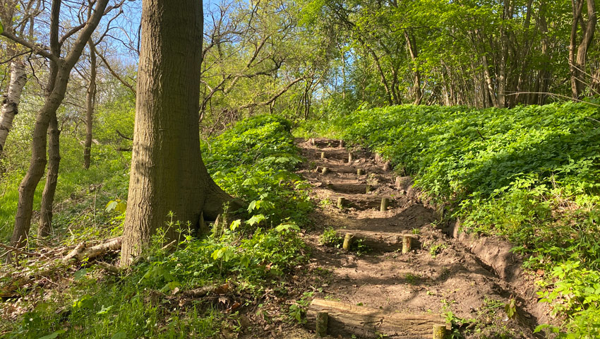 wandelnieuws lochem braakhekke bultenpad harfsen24