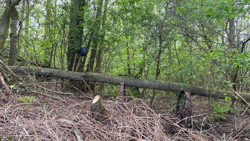 wandelnieuws lochem braakhekke bultenpad harfsen33