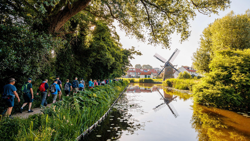 wandelnieuws molen lint gaia 