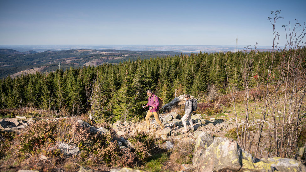 wandelnieuws wandelaars in de harz c markus tiemann 2000