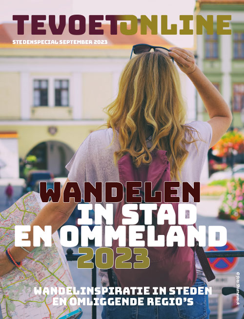 tevoetonline cover stedenspecial2023 500x653