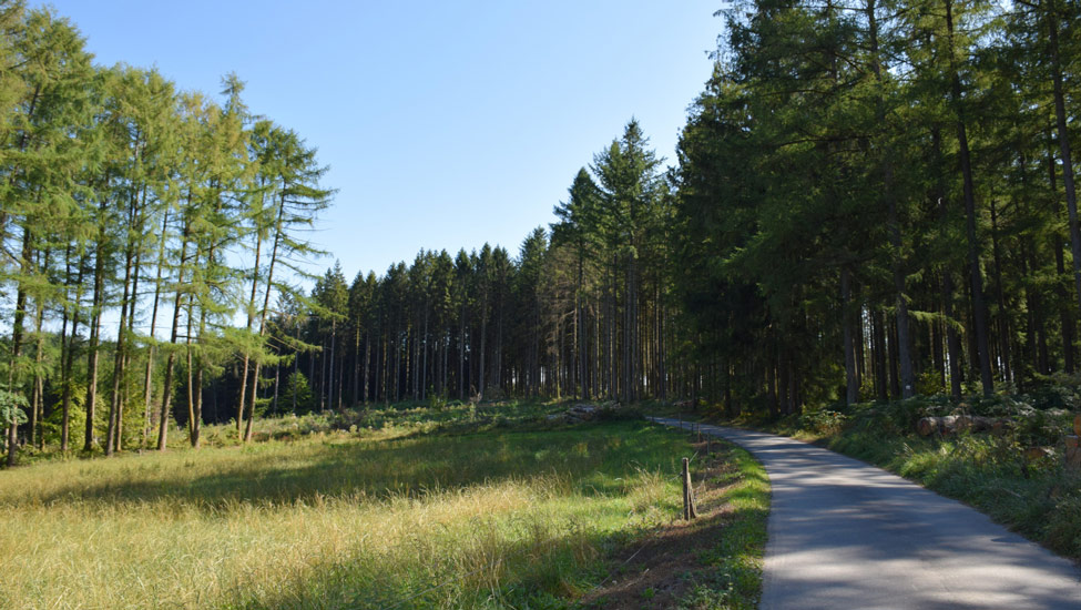 wandelnieuws ingrid jusseret transardennaise