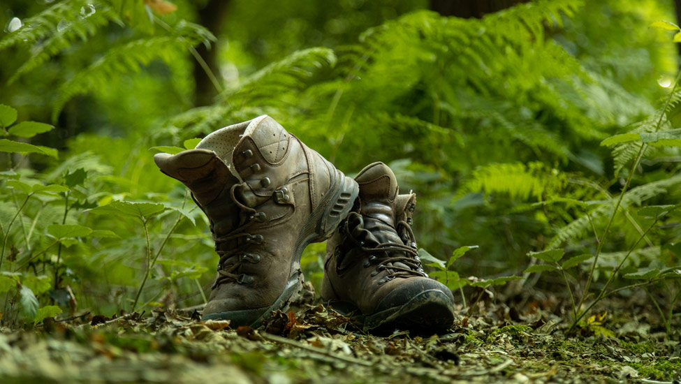 wandelnieuws bergendal schoenen david brand