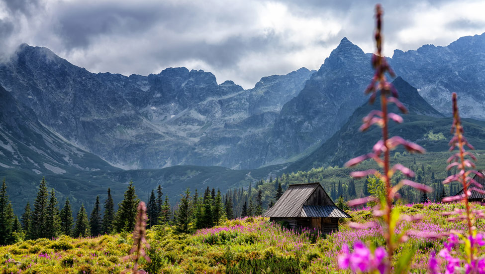 wandelnieuws beurs polen shutterstock