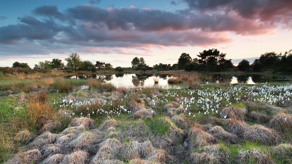 wandelnieuws kampina 1 shutterstock