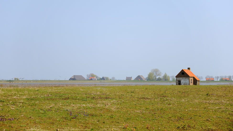 wandelnieuws tiengemeten 2shutterstock