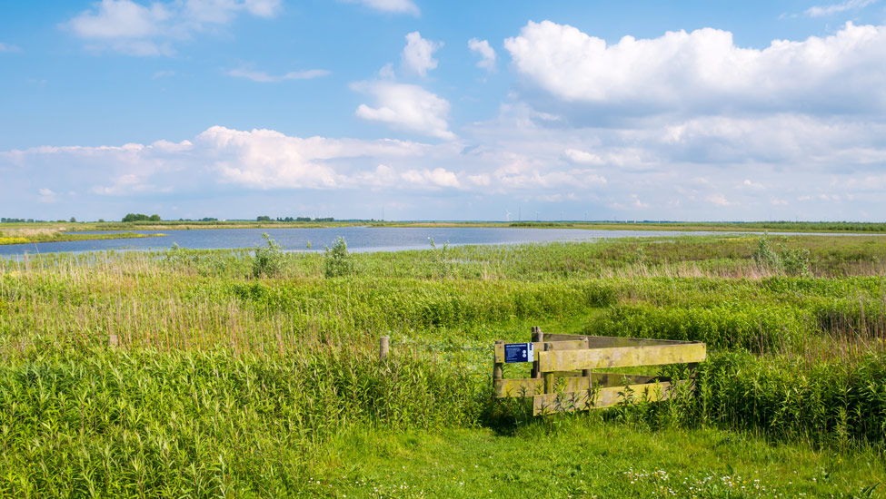 wandelnieuws tiengemeten 3 shutterstock