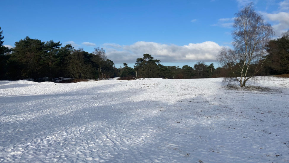 wandelnieuws sneeuw 6