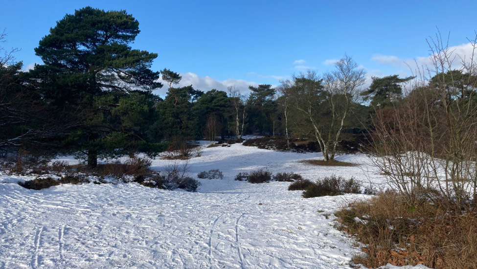 wandelnieuws sneeuw 7