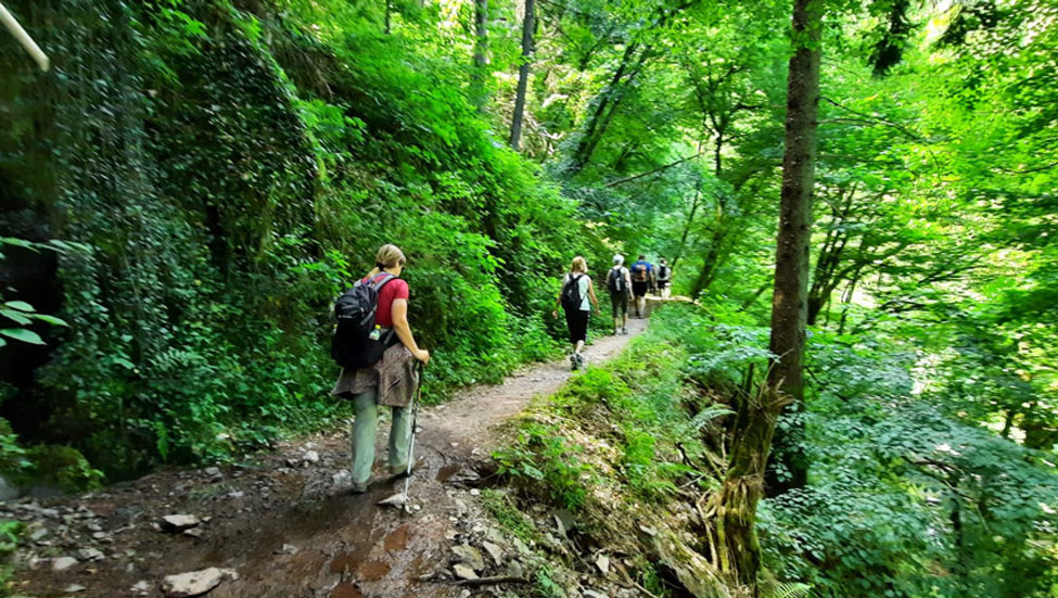 wandelnieuws tonneman 1