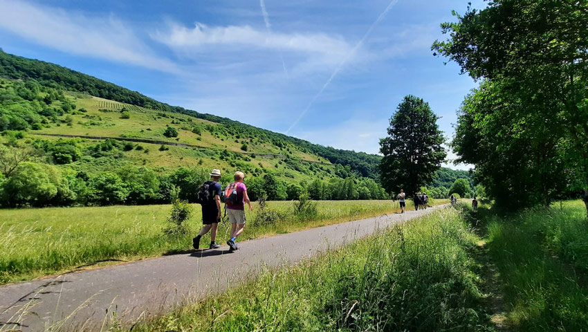 wandelnieuws tonneman 4