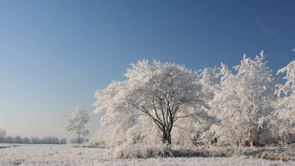 wandelnieuws winterlandschap 3 shutterstock