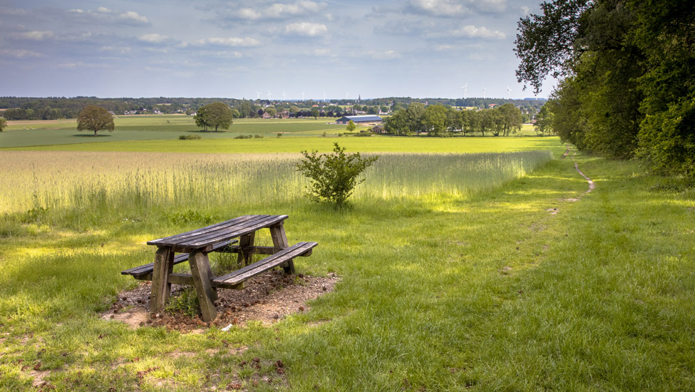 wandelnieuws achterhoek 3 shutterstock