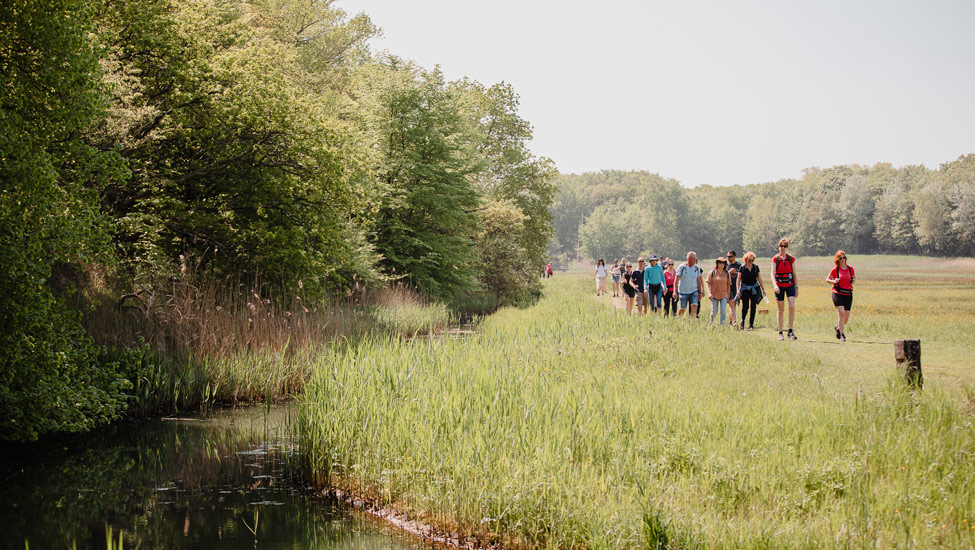 wandelnieuws kika haarlem city walk natuurlijke omgeving