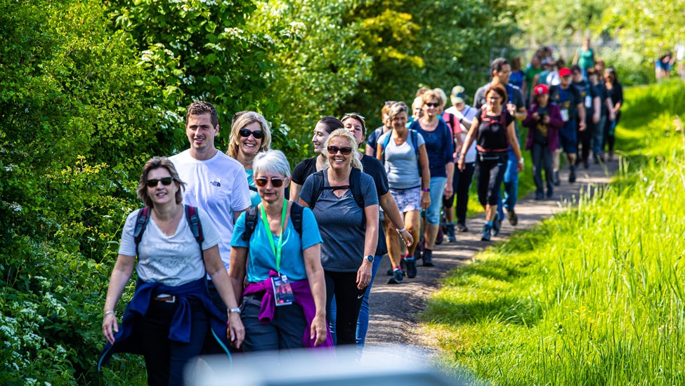 wandelnieuws kika haarlem city walk volop natuur langs de routes