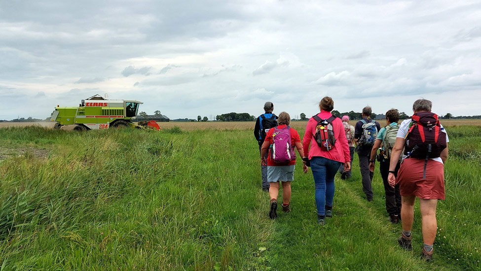 wandelnieuws wandelaars op pad pwp