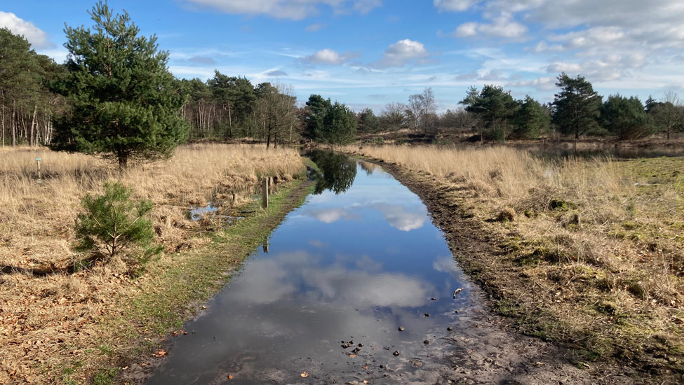 wateroverlast 04032024