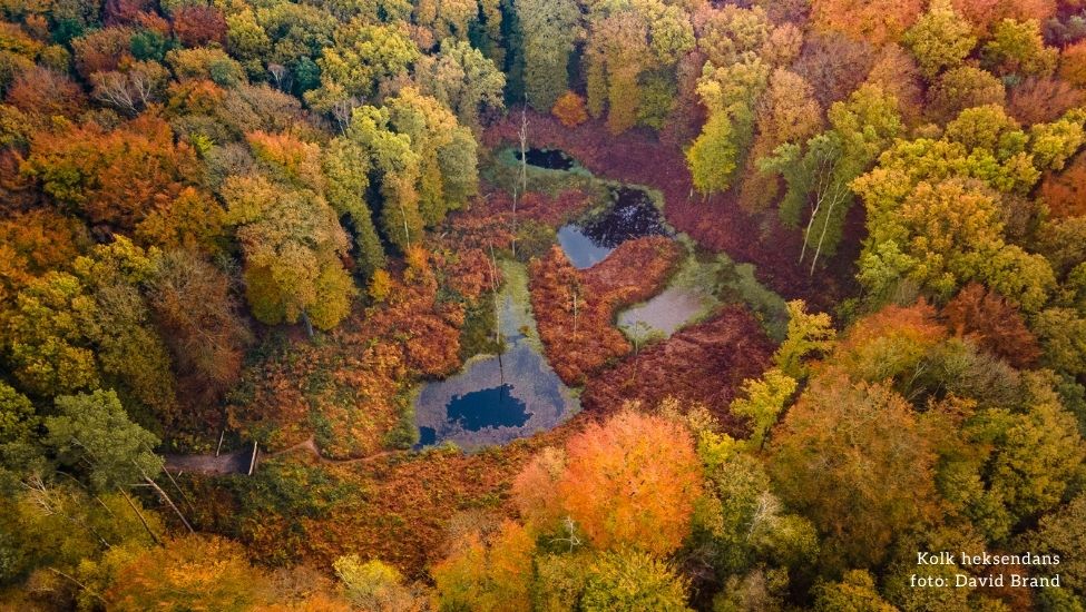 foto david brand kolk heksendans