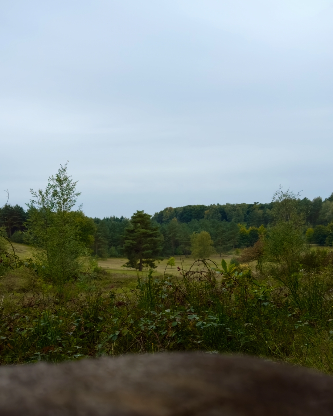 green and yellow simple local gems carousel instagram post