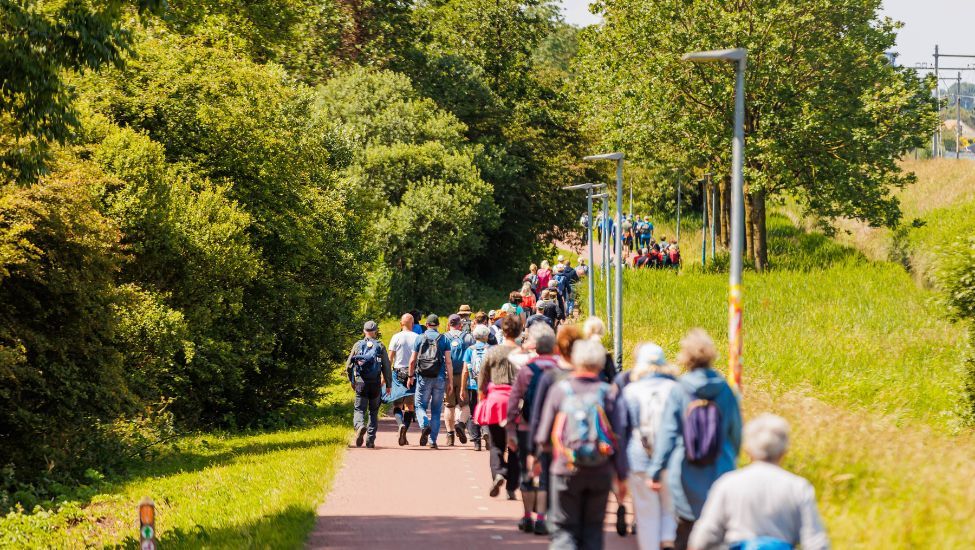 le champion alkmaar wandel4daagse