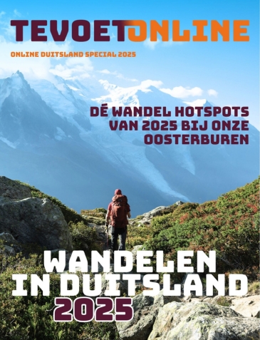 online magazine cover website thumbnail