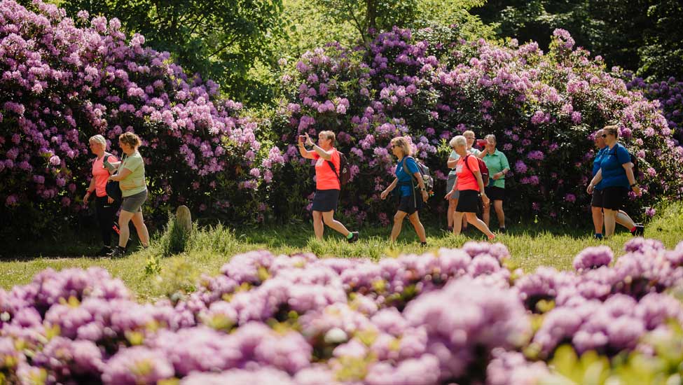 wandelnieuws haarlem city walk rhodos