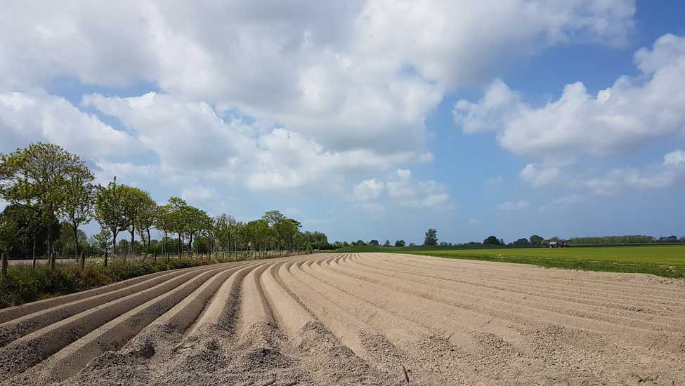 wandelroutes pronkjewailpad voren