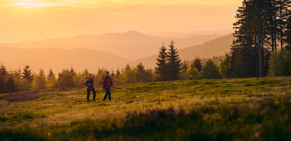 artikel abenddämmerung hochheide sauerland tourismus paul masukowitz