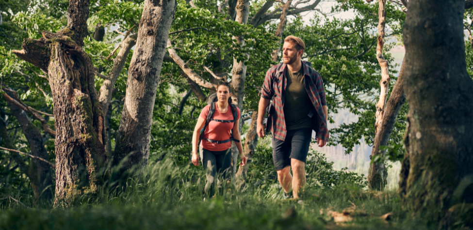 artikel wandern im fühlingswald sauerland tourismus paul masukowitz
