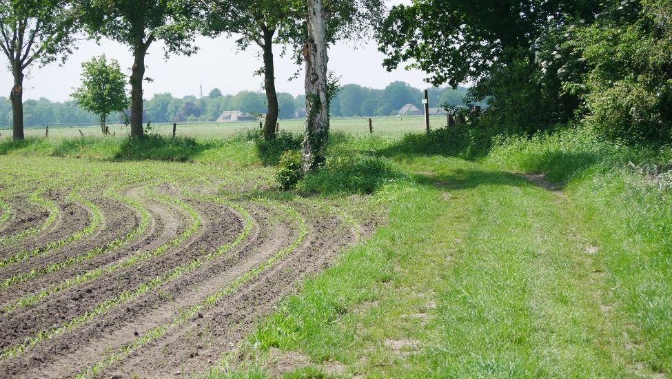 Nieuw Klompenpad Eper Enkenpad in Epe
