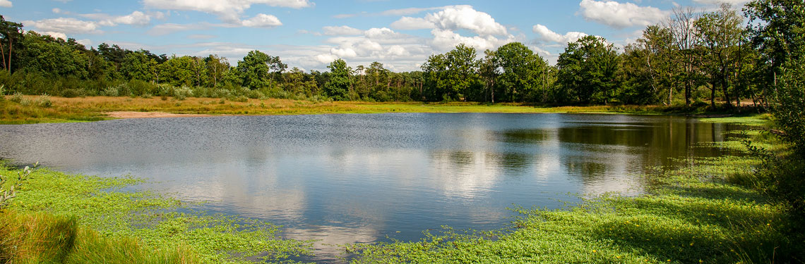 overnachten antwerpen shutterstock