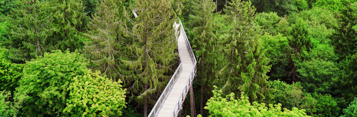 overnachten saarland shutterstock