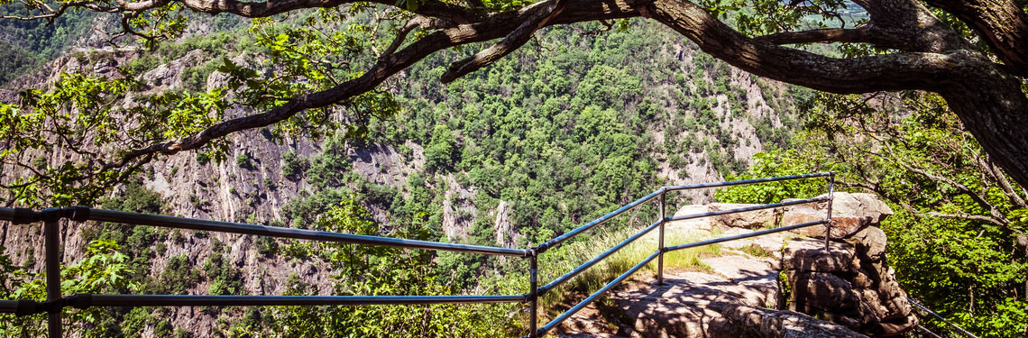 overnachten saksen anhalt shutterstock