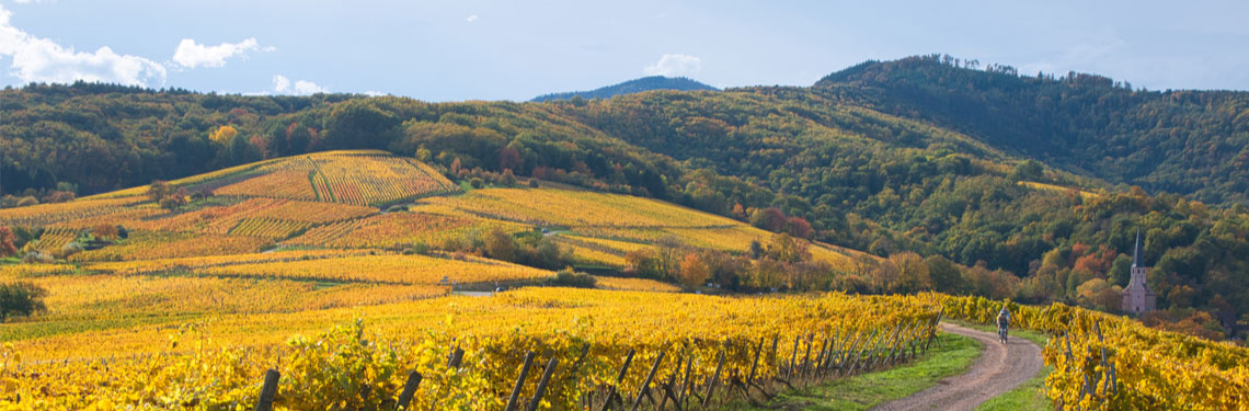 overnachten grand est shutterstock