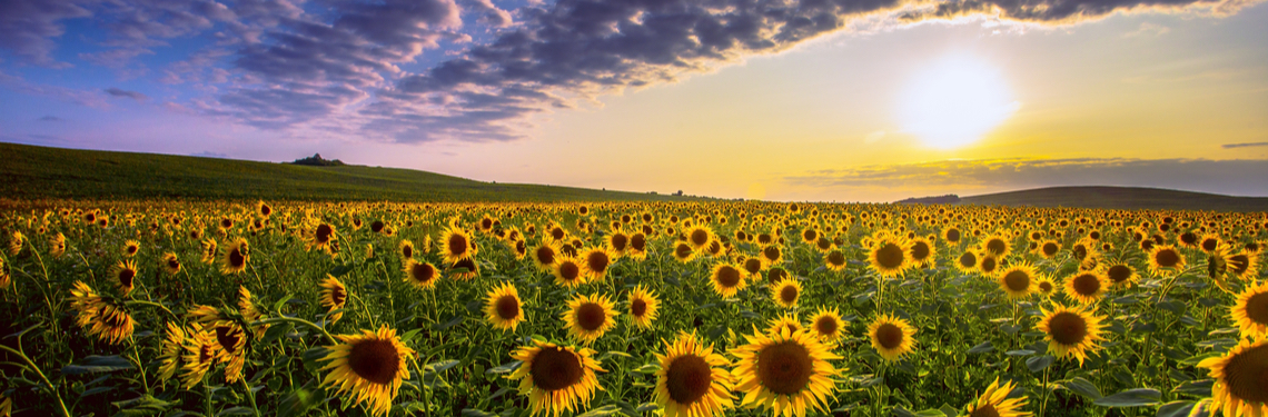 overnachten frankrijk shutterstock