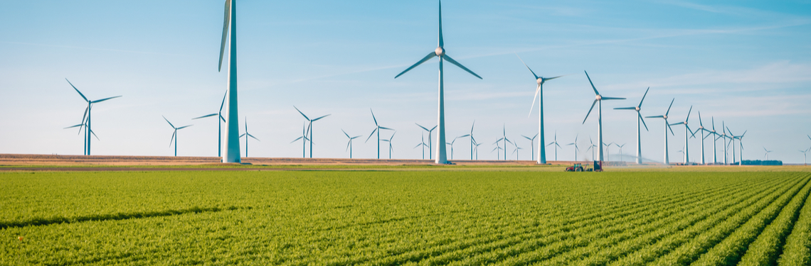 flevoland shutterstock