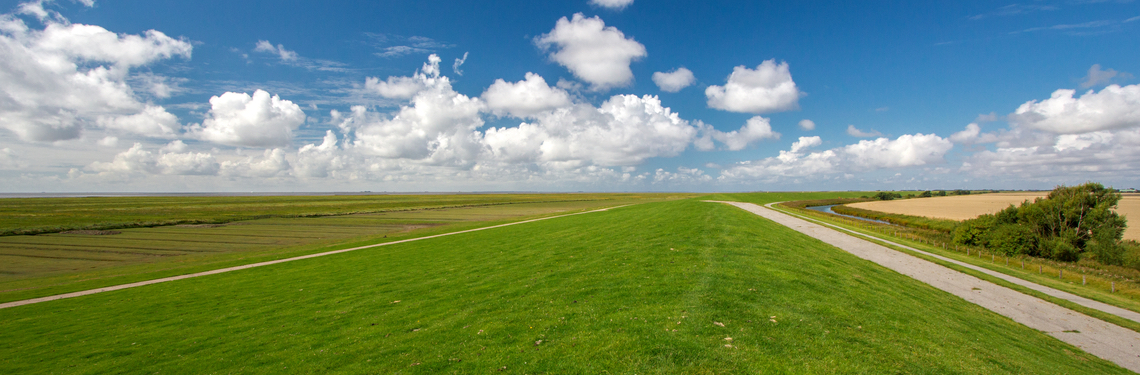 friesland shutterstock