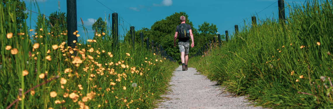 groningen shutterstock