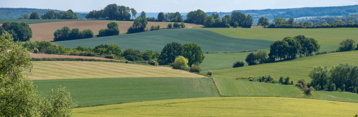 limburg shutterstock
